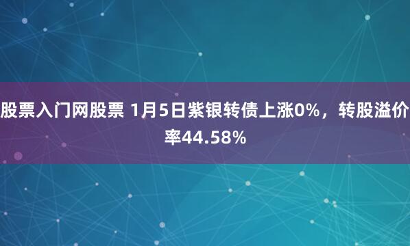 股票入门网股票 1月5日紫银转债上涨0%，转股溢价率44.58%